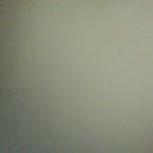 Meet your Posher, Rickey